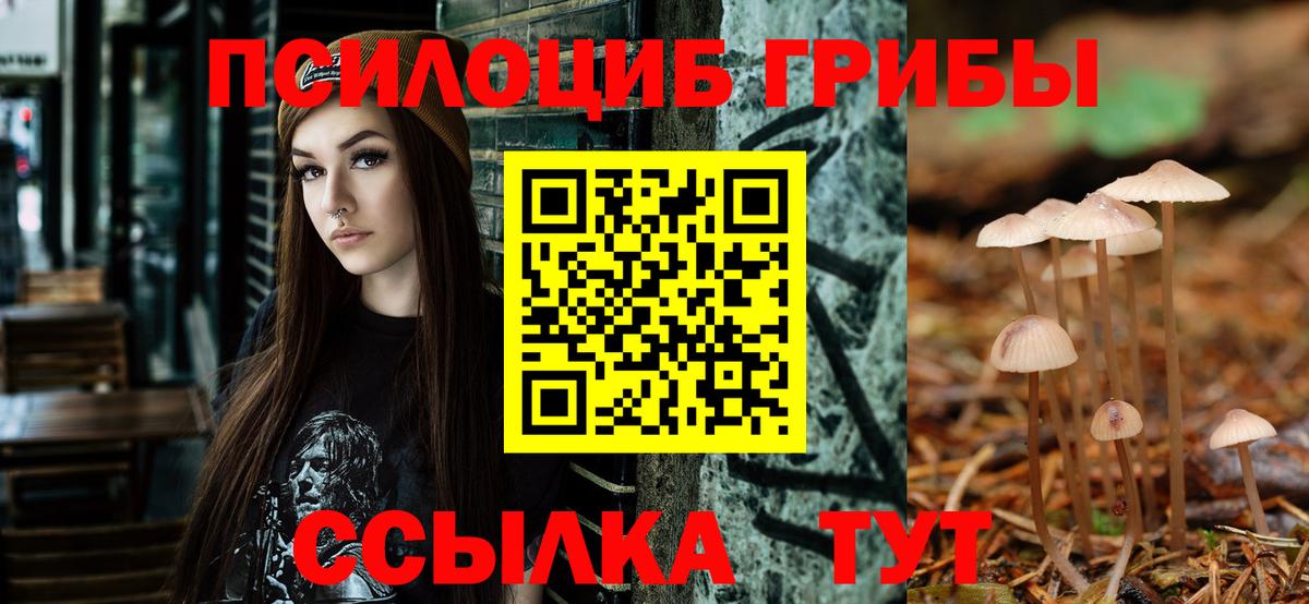 Псилоцибиновые грибы Cubensis Люберцы